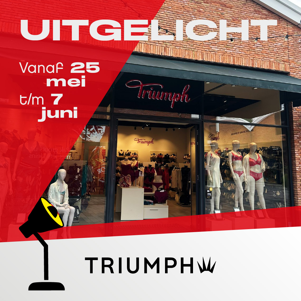triumph spotlight