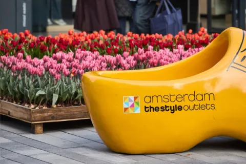 Tulpen